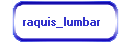 raquis_lumbar